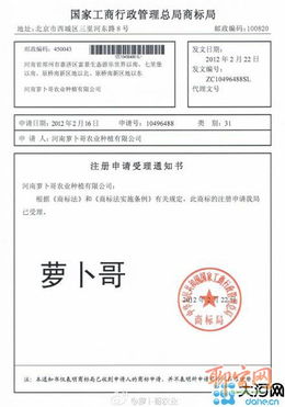 韓紅剛申請(qǐng)‘蘿卜哥’商標(biāo) 品牌意識(shí)覺(jué)醒之路